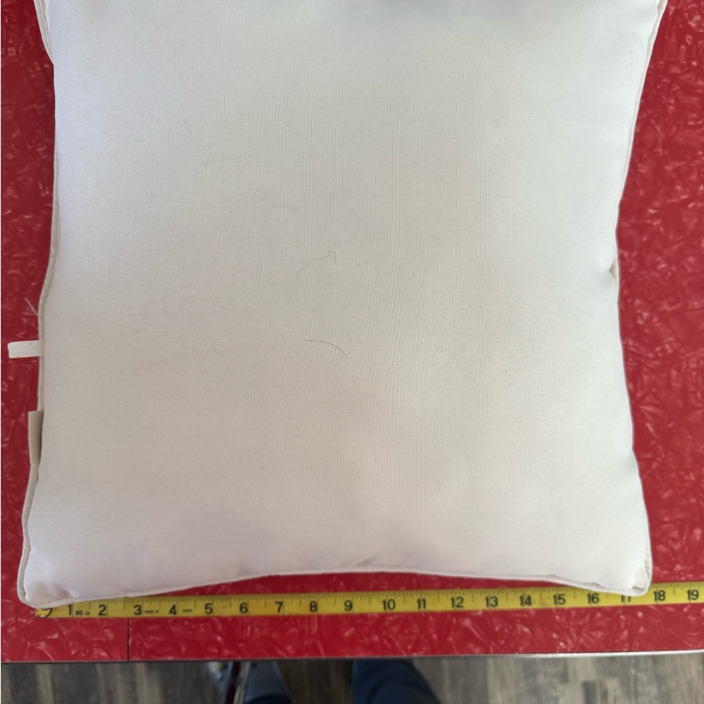 Pier 1 Coastal / Sealife decorative pillow - Picture 2 of 5